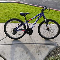 Schwinn 24"Mountain Bike 
