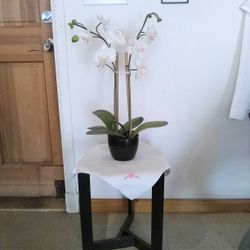 " Beautiful  Flower Vase  &  Table " 🌺 The Table and Table Cover Is Included 🌠