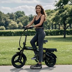 Ebike -740w New  In Box !