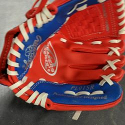 Rawlings Youth Glove