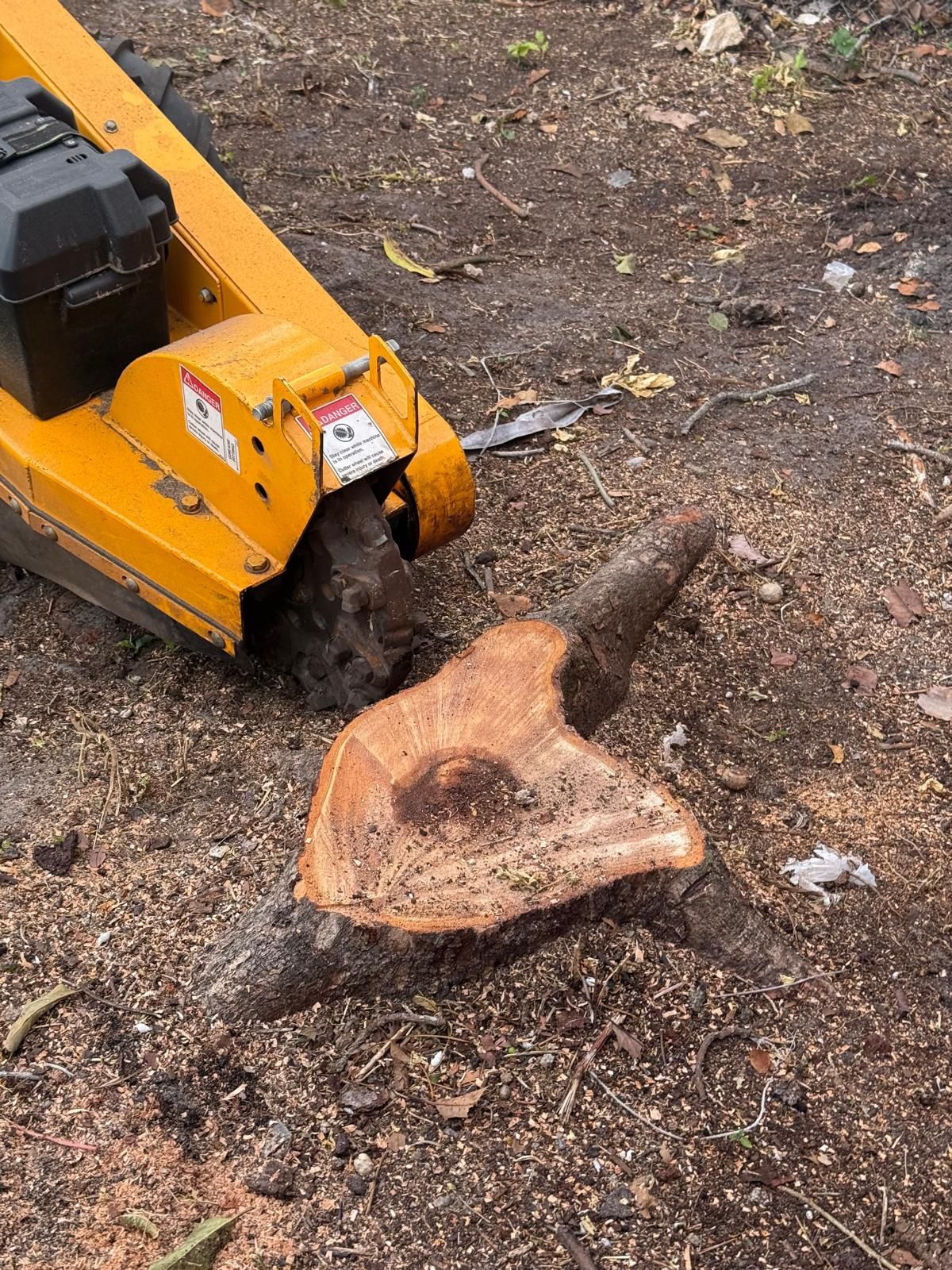 Stumps Grinding Molemos Troncos Y Raises 