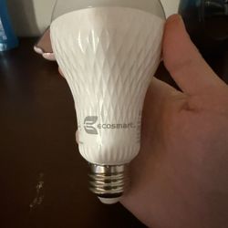 eco smart speaker lightbulb 