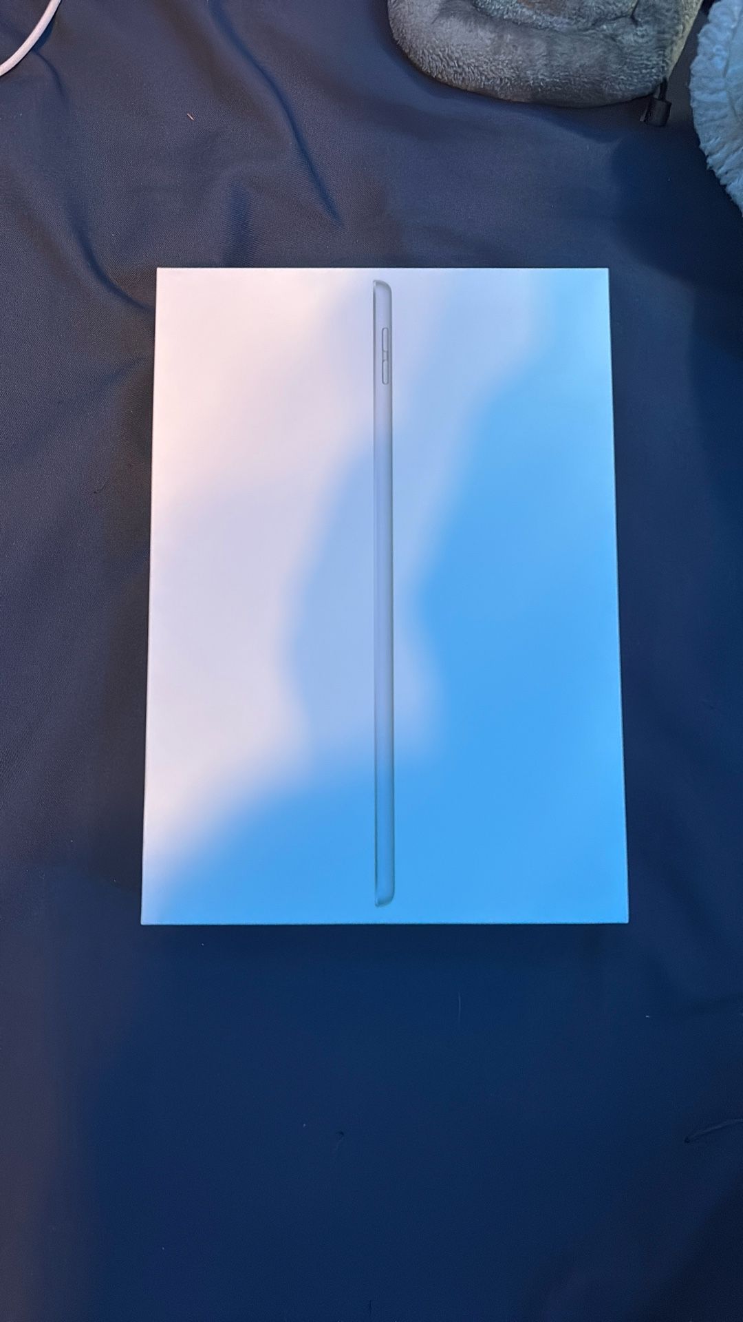 iPad 9th Generation 64GB