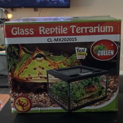Glass Reptile Terrarium & Pebbles