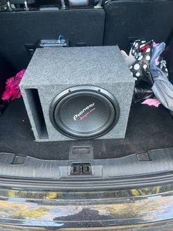 Pioneer champion series single speaker