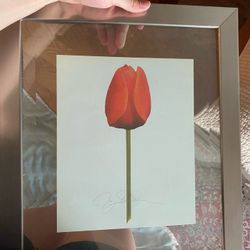 Rose Painting In Frame