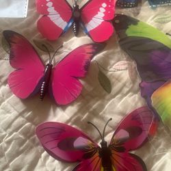 Magnetic Butterflies 