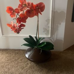 Artificial Orchid Arrangement 