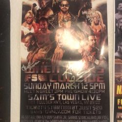 Singed Wwe And UFC Fighters Real Autographs