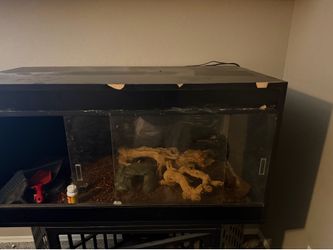 Bearded dragon or snake cage