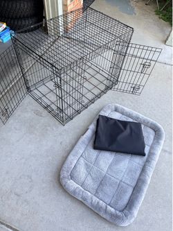 Dog Kennel