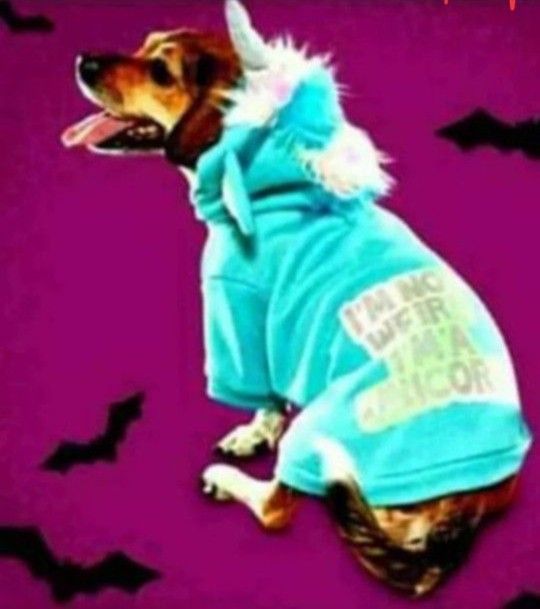 Bootique Unicorn Light-Up Dog Hoodie small )