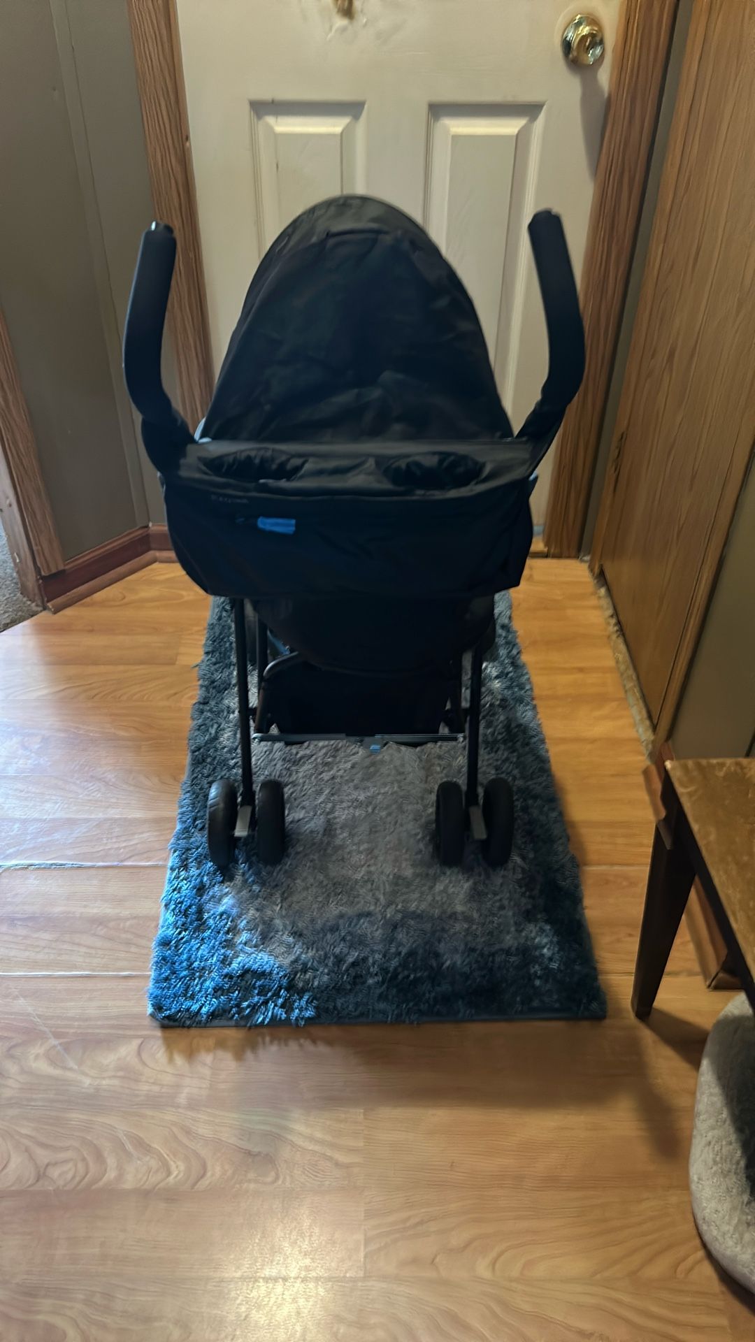 Summer’s stroller