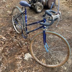 Bikes 