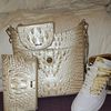Brahmin HandbagLover