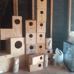 Nest boxs