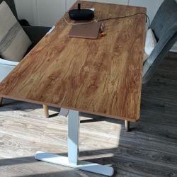 Adjustable Standing/sitting Desk 