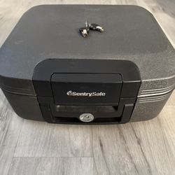 Sentry Safe