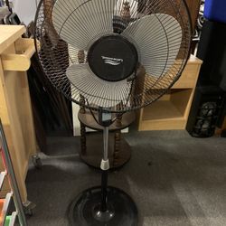 Oscillating Fan 