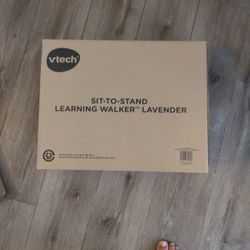 Sit To Stand Learning Baby Walker