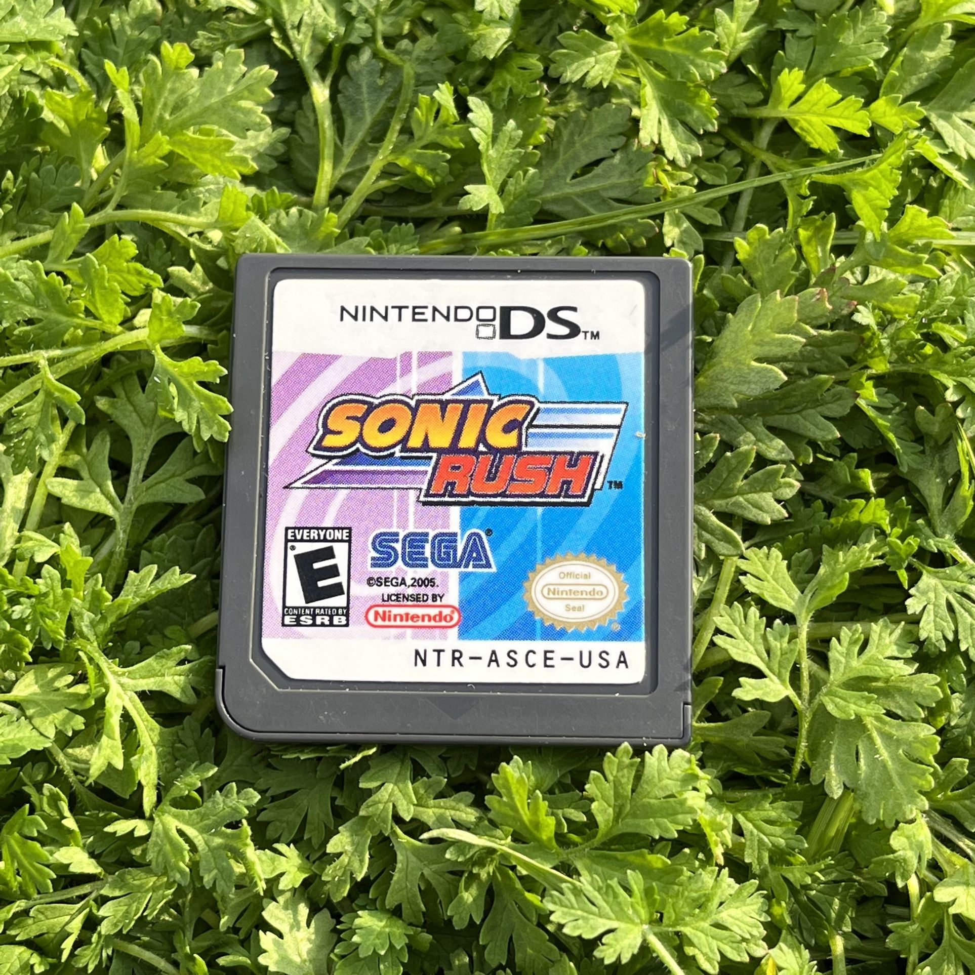 Sonic Rush Nintendo DS