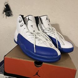 jordan 12 blueberry