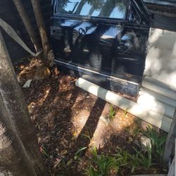 Pasajer Door Chevy 97