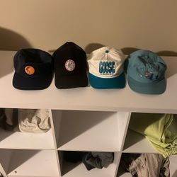 Goose Merch Lot