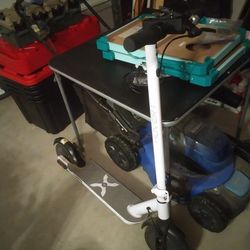 Hover-1 Electric Scooter 