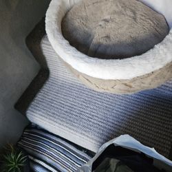 Small Bet For Small Dog 