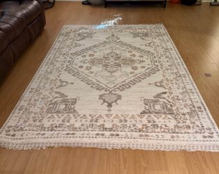 Costco Nourison Home Hastings area rug 5 ft 3 in by 7 ft 6 in