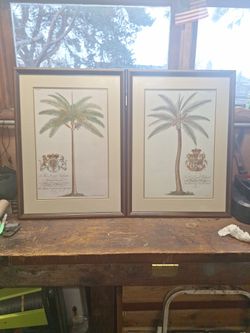 G.D Ehret. Delin & Sculp Print