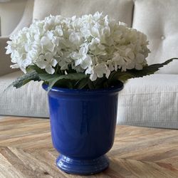 Beautiful Flower Decor Plant  $15