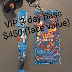 1x VIP Warped Tour 2-Day Pass