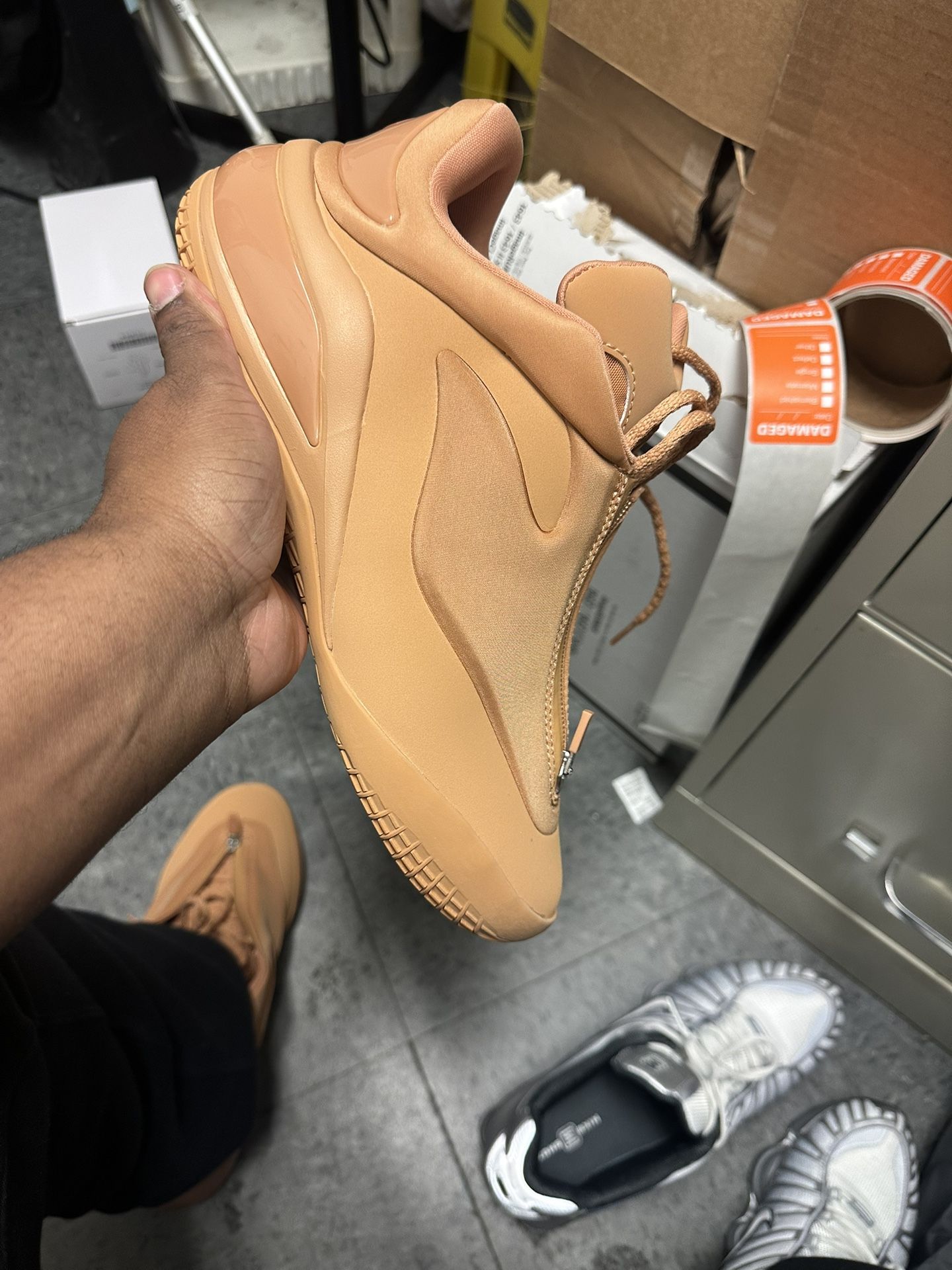 Converse Shai 1