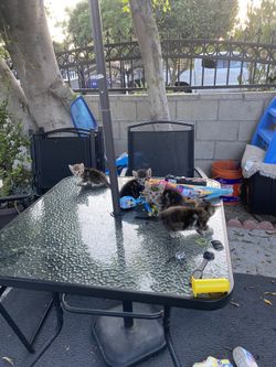 Lilo And Lilo Umbrella 