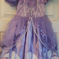Princess Sofia costume