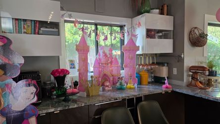 Large Princess Birthday lot