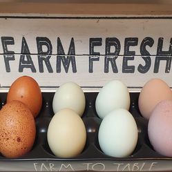 Free range organic rainbow eggs.