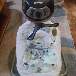 Graco Baby Swing 
