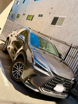 2024 Lexus NX