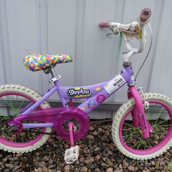 Bike 16” 