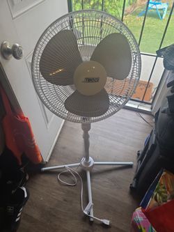Fan
