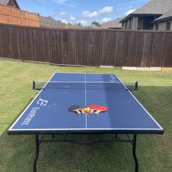 Ping Pong Table / Table Tennis