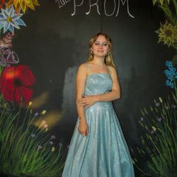 Blue Prom Dress