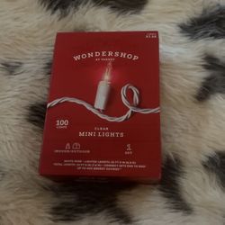 Brand new Christmas lights never been used