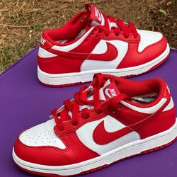 1y Nike dunks