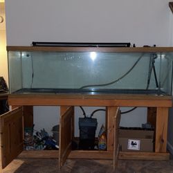 Big Fish Tank With Stand And Ect