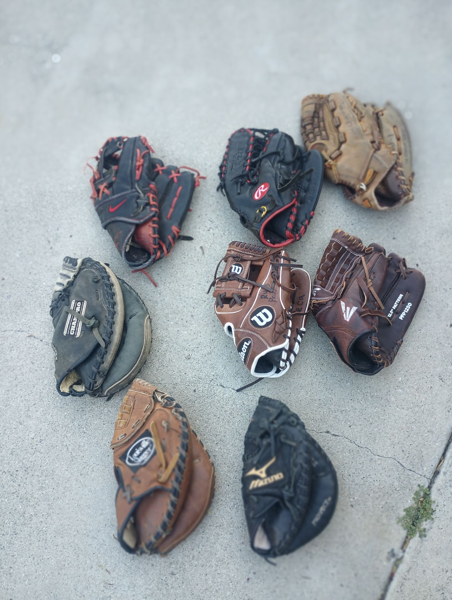 Softball And Baseball