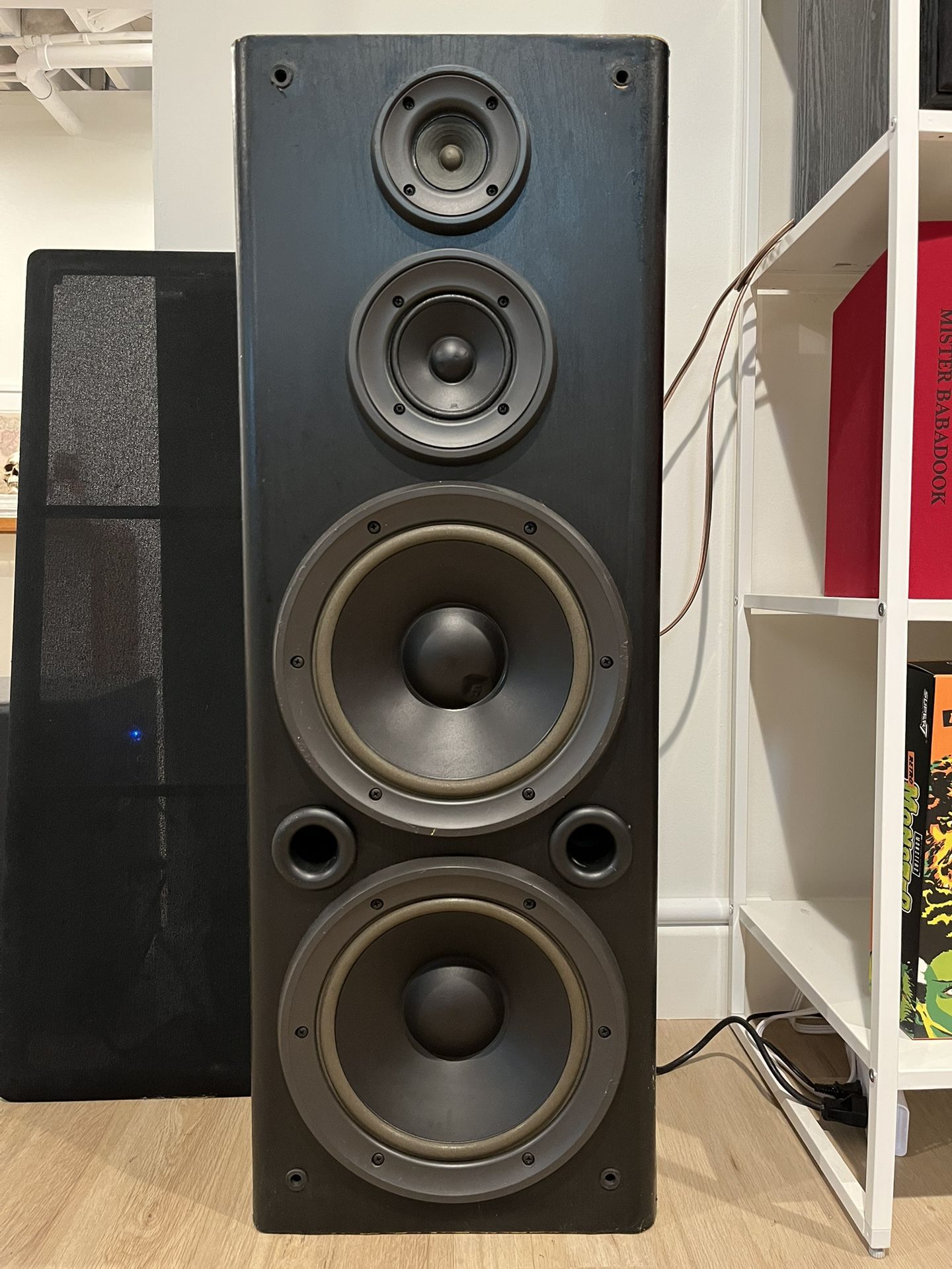 Technics Floor Standing Speaker (1)